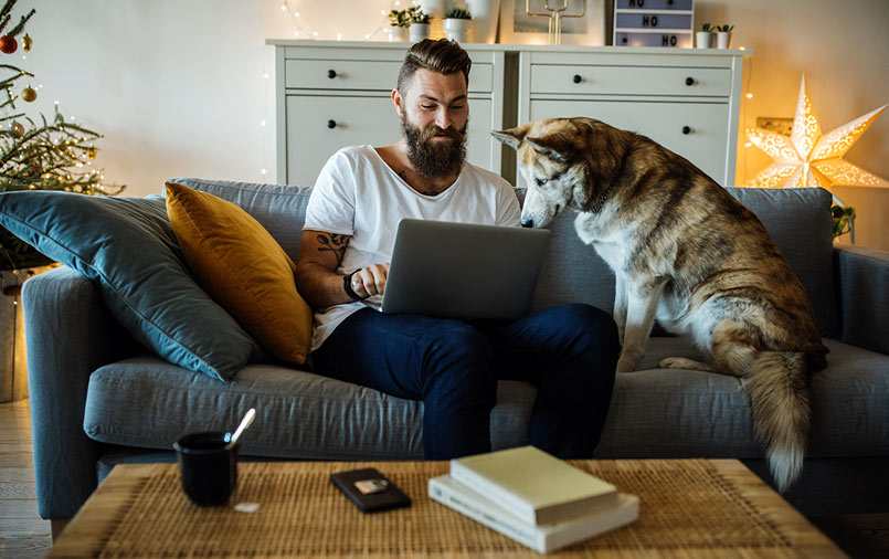 Man and dog surfing the internet